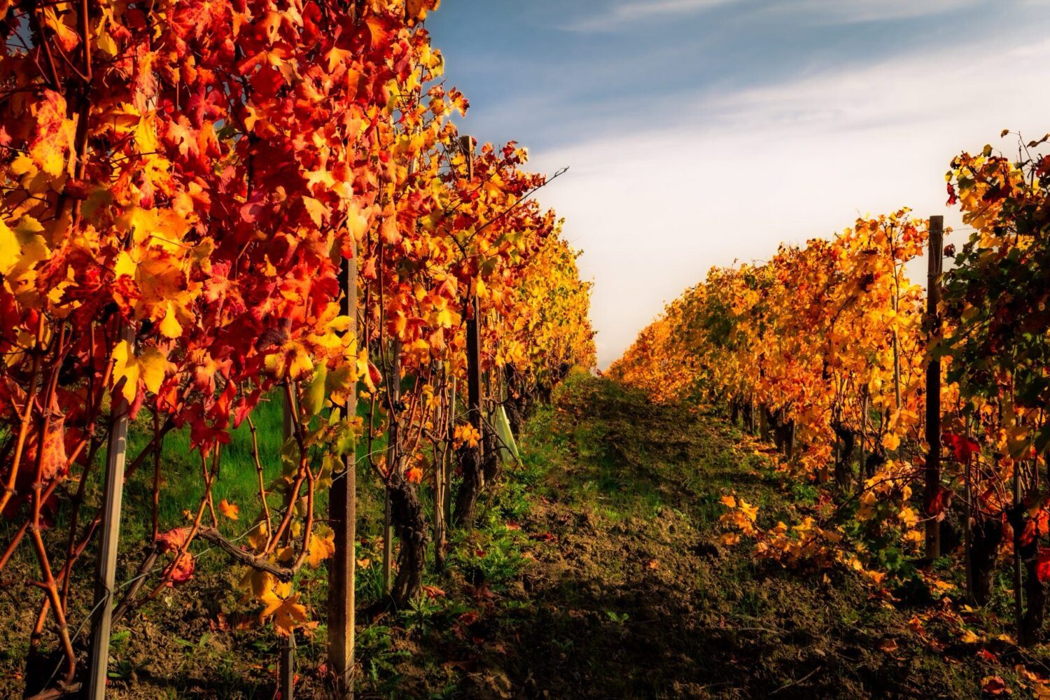 Autumn in Sicily | Sicily Luxury Villas, Sicily Villas and Sicily Villas with Pool